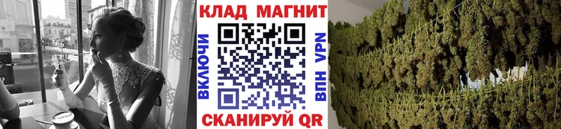 Где купить наркотики Бор Галлюциногенные грибы  Меф мяу мяу  Экстази  Cocaine  Каннабис 