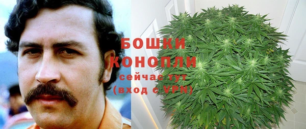 МДПВ Аша