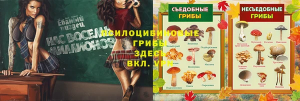таблы Беломорск