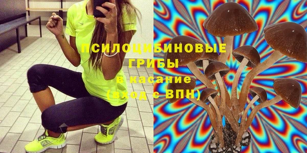 дживик Медногорск