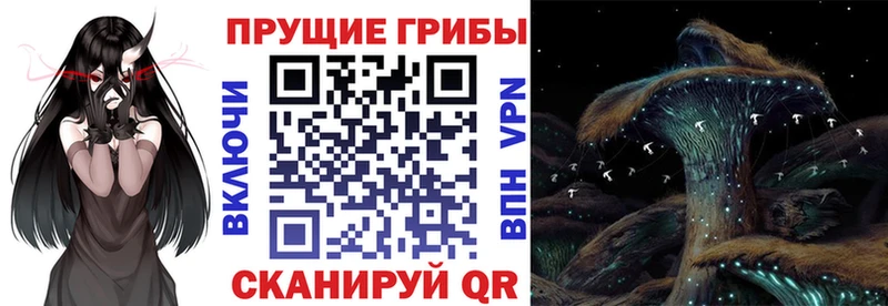 Галлюциногенные грибы ЛСД  darknet клад  Бор 
