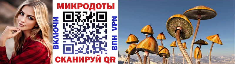 Галлюциногенные грибы Psilocybine cubensis Бор