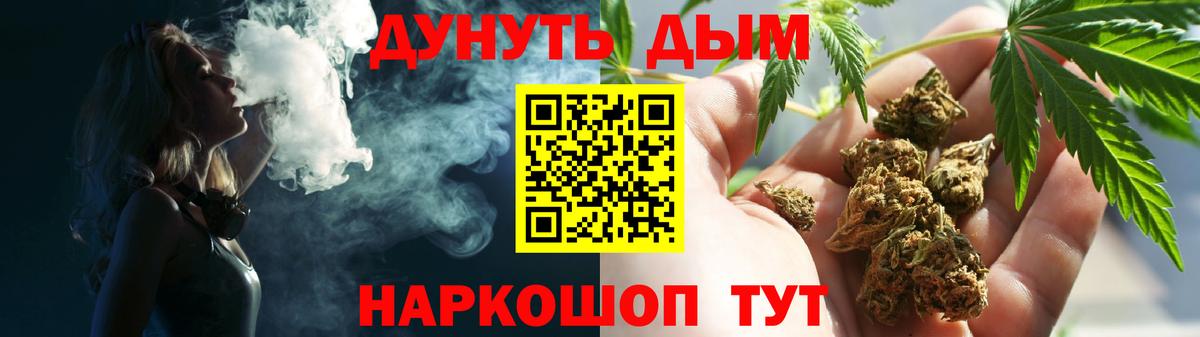 Конопля план Бор